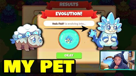 MY PET SNOWFLUFF IS EVOLVING INTO HAIL TAIL - Prodigy Math Game - YouTube