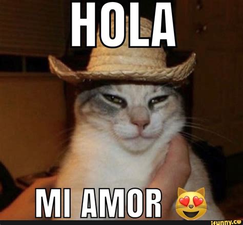 Introducir 78+ imagen hola hermoso meme - Abzlocal.mx