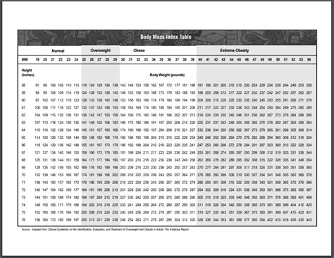 BMI Charts (Doc) (PDF) Printable | Download Sample