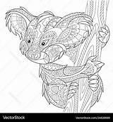 Koala bear Adult coloring Page Royalty Free Vector Image sketch template