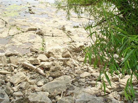 More Fossil Beds | Falls of the Ohio State Park, Clarksville… | Flickr