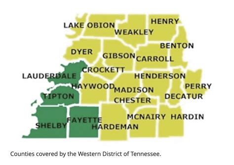 Filing Bankruptcy in Tennessee: Chapter 13 and Chapter 7