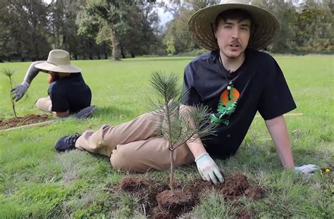 YouTube with MrBeast aim to plant 20 million trees