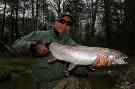 Destination Ohio: Fly Fishing for Enormous Steelhead and More with Mad ...