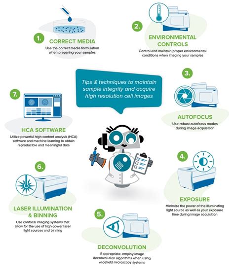 Tips for Running a Successful Live Cell Imaging Experiment