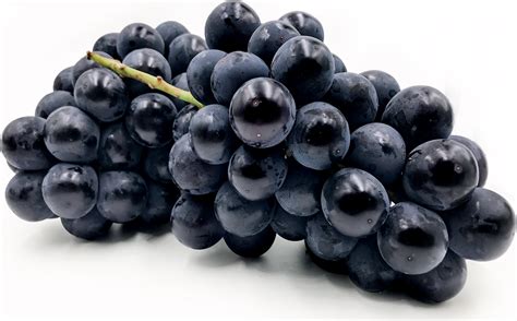 Australia grants market access to South Korean Kyoho grapes ...