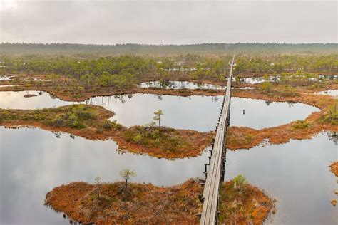 Wetland conservation - Alchetron, The Free Social Encyclopedia