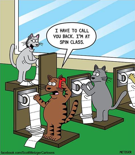 Gatti in palestra. Scott Metzger Cartoons. #umorismo | Funny cats, Cat jokes, Funny cartoons