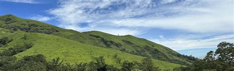 Netravati Peak Trek, Karnataka, India - 7 Reviews, Map | AllTrails