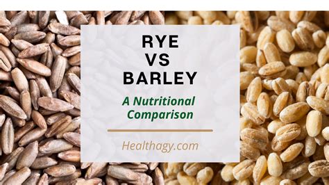 Rye vs Barley: Which Grain is More Nutritious? - Healthagy