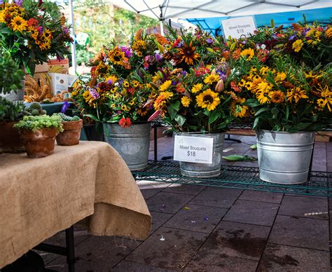 Flower Gallery — Boulder Flower Farm