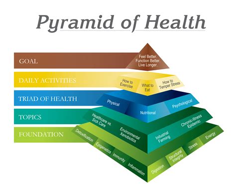 Breaking Down the Pyramid of Health to Understand What Affects Your ...