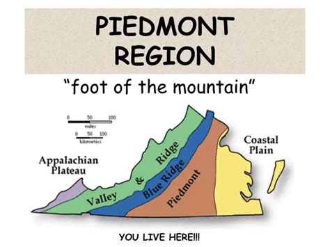 PPT - PIEDMONT REGION PowerPoint Presentation, free download - ID:134718