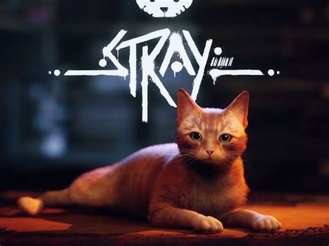 Stray - Play Free Game Online at MixFreeGames.com