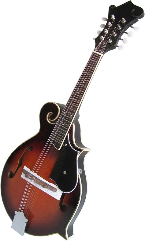 Amazon.com - F-Type 8-String Mandolin Instrument F-Type Mandolin Eight ...