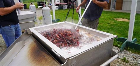 6th Annual Crawfish Boil | KSW Oilfield Rental & Solids Control