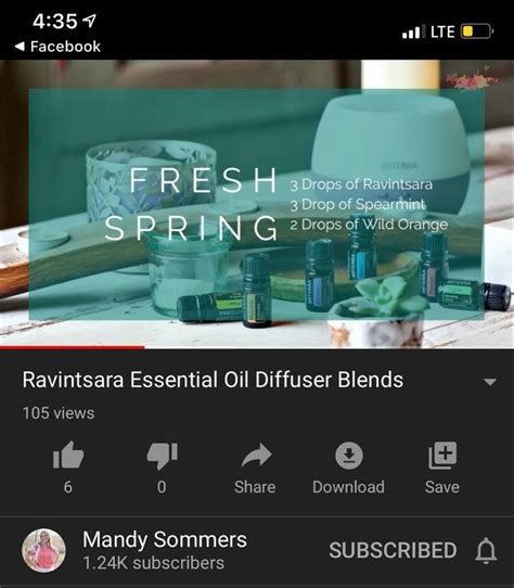 Ravintsara Diffuser Blend | Diffuser blends, Oil diffuser blends ...