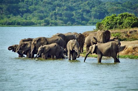 Queen Elizabeth National Park (Official GANP Park Page)