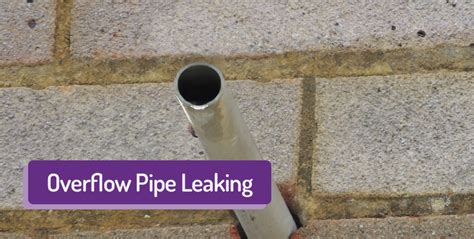 Overflow Pipe Leaking - Why is my overflow pipe leaking & how to fix it!