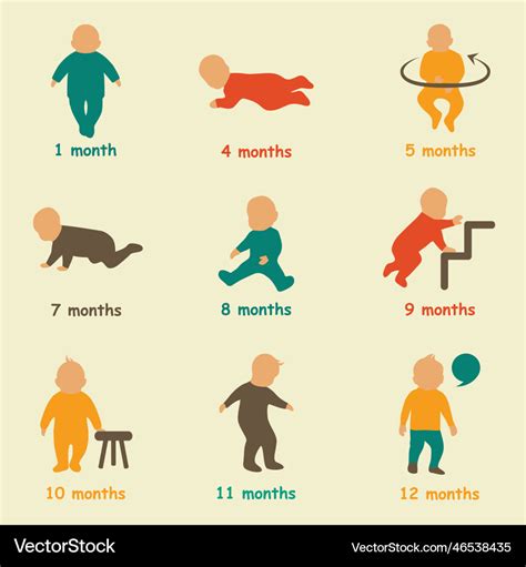 Baby development child growth milestones Vector Image