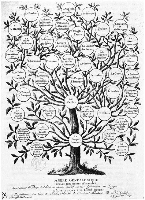 The Genealogical World of Phylogenetic Networks: An early tree of languages