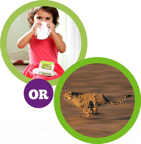 Booger Facts | Boogie Wipes