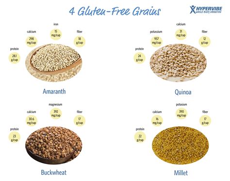 Gluten-free grains #gluten | Nutrition healthy eating, Gluten free grains, Dog food recipes