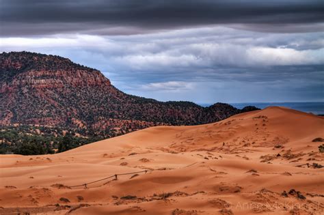 Coral Pink Sand Dunes in Utah - Anne McKinnell Photography