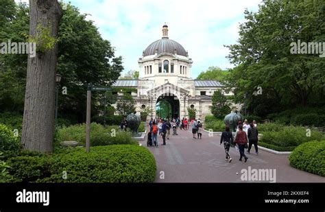 Zoo center bronx zoo Stock Videos & Footage - HD and 4K Video Clips - Alamy