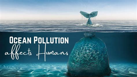 Maritime infographic: How Ocean Pollution affects Humans | MaritimeCyprus