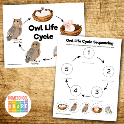 Free Owl Printables - Homeschool Share