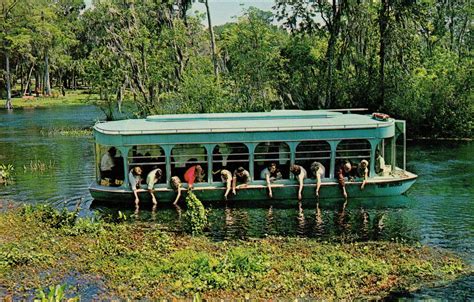 Silver Springs Glass-Bottom Boat Old Florida, Florida Travel, Miami ...