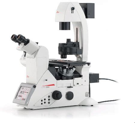 Leica DMi8 Inverted Fluorescent Microscope | Core Facilities