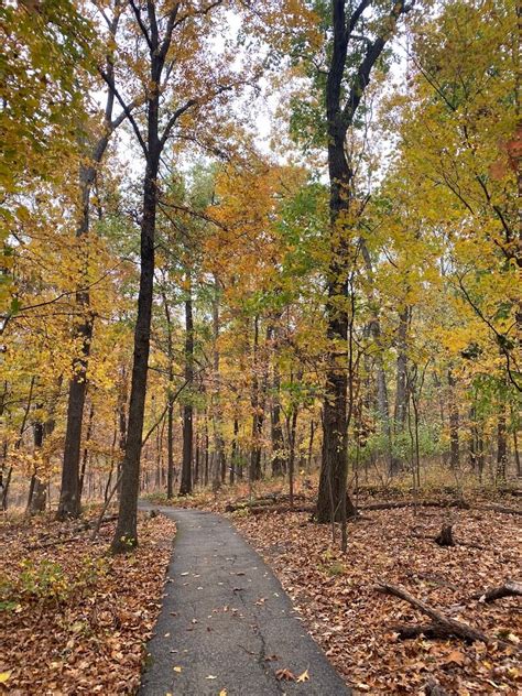 Fall Hikes: Powder Valley Nature Center - thatawaydad.com