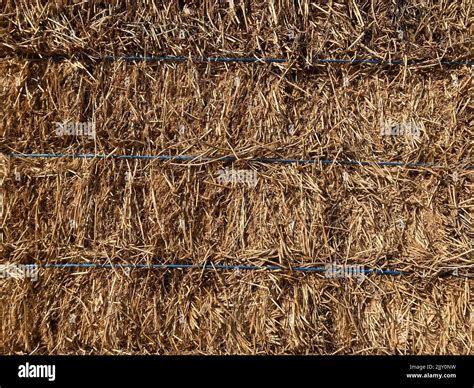 Hay texture background Stock Photo - Alamy