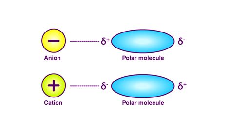 Is Ion Dipole interaction stronger than Hydrogen bonding?