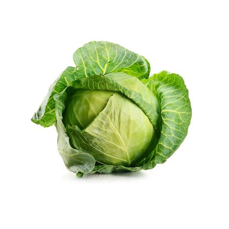 Green/white cabbage | Veggycation