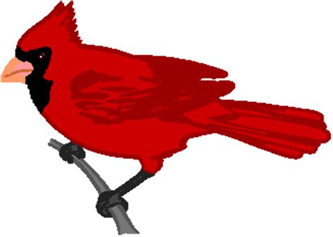 Download High Quality cardinal clipart cool Transparent PNG Images ...