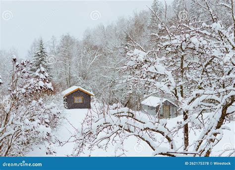 Winter Scenery of a Small Hut in a Snow-covered Forest Stock Photo ...