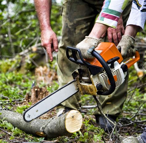 hand tools electric power tools: COMMON FEATURES OF A CHAINSAW