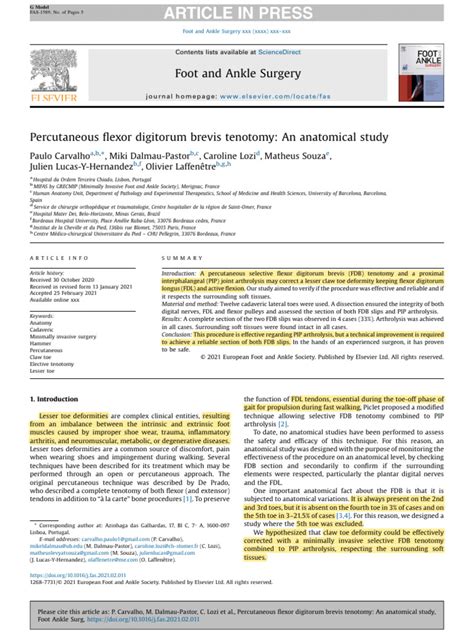 Percutaneous Flexor Digitorum Brevis Tenotomy. An Anatomical Study ...
