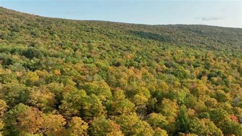 First Fall Colors in North Vermont | WeatherBug