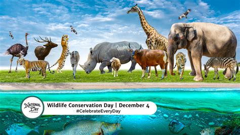 WILDLIFE CONSERVATION DAY - December 4 - National Day Calendar