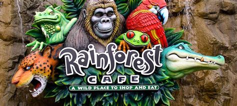 Rainforest Cafe Review - Life With Kathy