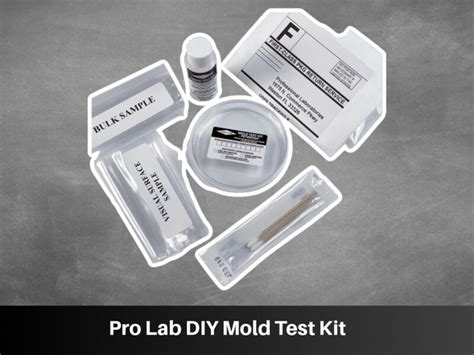 6 Best Mold Test Kits for at Home Testing