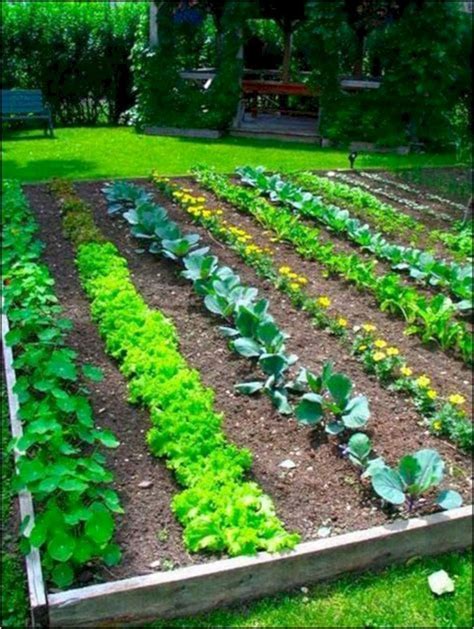 Pin by Ruthy Funes on Moestuin | Vegetable garden planning, Garden layout vegetable, Small ...