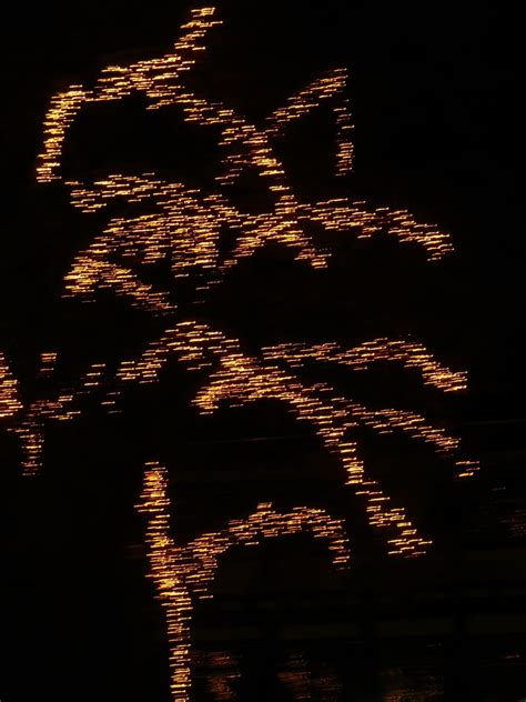 Free Images : tree, light, night, dark, sparkler, darkness, lighting, illuminated, deco, advent ...