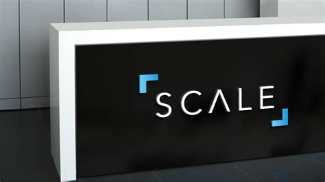 Scale Logo Branding on Behance