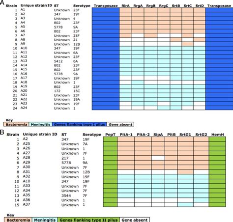 Distribution of pilus subunits for each of the type I and II piliated ...