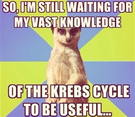 F*ck the Krebs Cycle. | Krebs cycle, Haha, Smiley smile